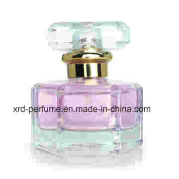 Großhandel Frauen Parfüm Preis Sexy Lady Perfume